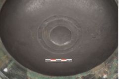 Foto von Bronzebreitrandschale (NHMW-PRAE-025246)
